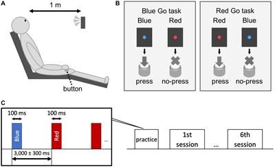 The Effect of Prior Knowledge of Color on Behavioral Responses and Event-Related Potentials During Go/No-go Task